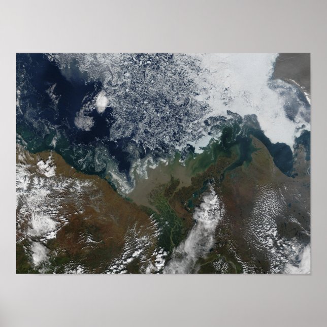 Floden Mackenzie ligger i Mackenzie Bay Poster (Framsidan)