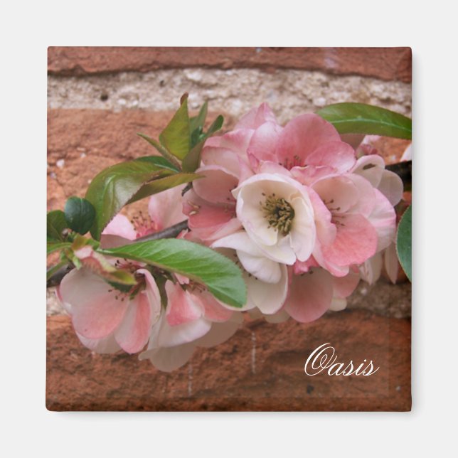 FLÖDEN MAGNET (Framsidan)