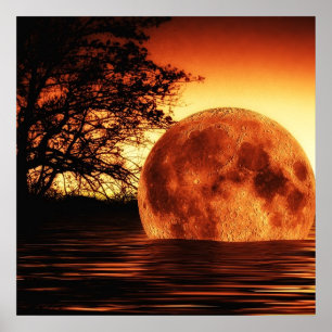 Floden måne poster