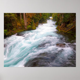 Floden McKenzie Oregon Poster