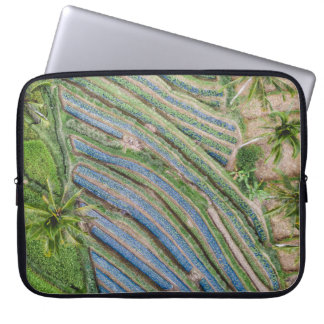 Floden mellan coconut träd-lackering laptop fodral