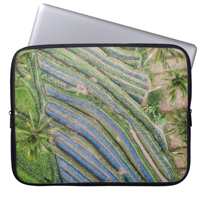 Floden mellan coconut träd-lackering laptop fodral (Framsidan)