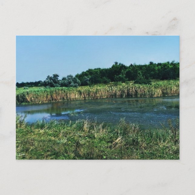 Floden Molochnaya nära Melitopol. SydUkraina Vykort (Framsida)