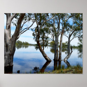 Floden Murray Australien, precis vacker, Poster