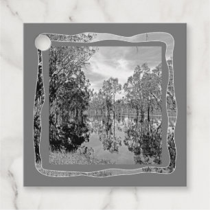 Floden Murray Svart Vitt Foto Gummiträd Reflektion Gåvor Etiketter