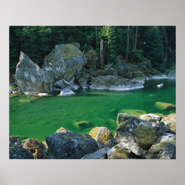 Floden North Cascade nationalpark Poster (Framsidan)
