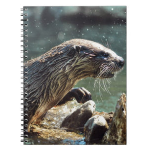 Floden Otter Animal-älskare Wildlife Photo Anteckningsbok