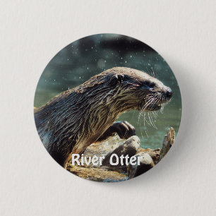 Floden Otter Animal-älskare Wildlife Photo Knapp