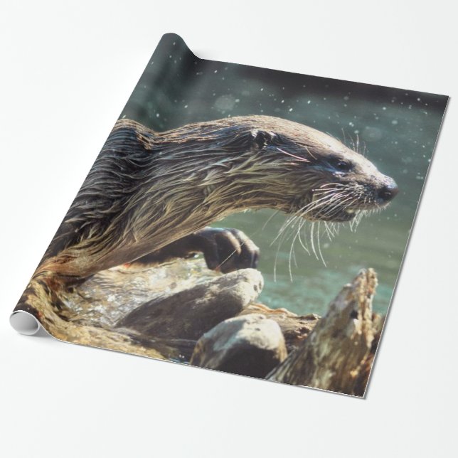 Floden Otter Animal-älskare Wildlife Photo Presentpapper (Utrullad)