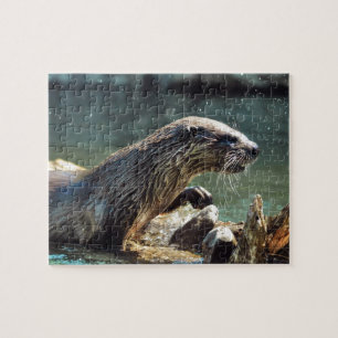 Floden Otter Animal-älskare Wildlife Photo Pussel