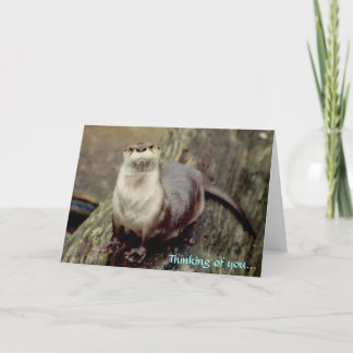 Floden Otter, du tänker.. Kort
