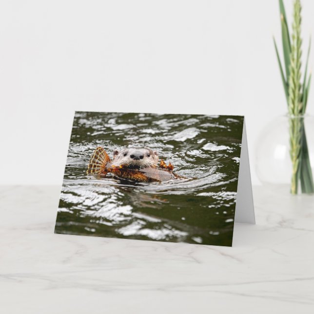 Floden Otter och fisk Kort (Framsida)