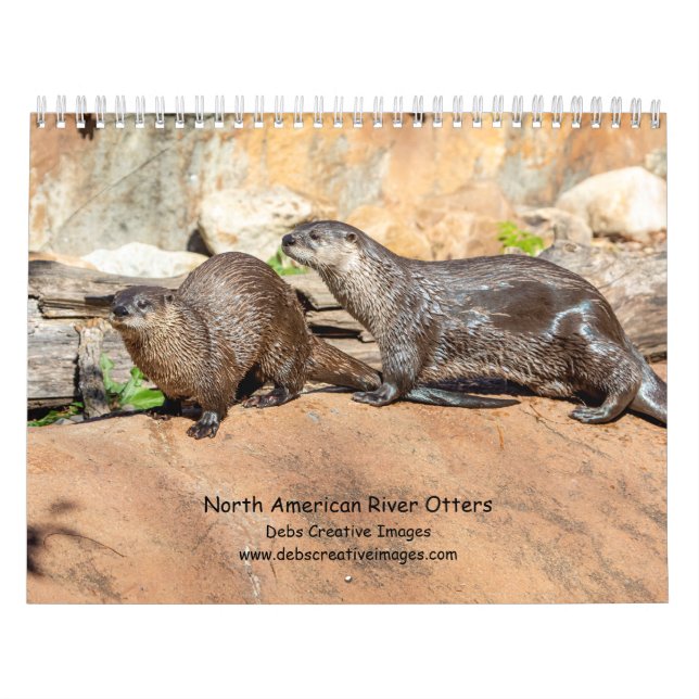 Floden Otters 2026 Kalender (Omslag)