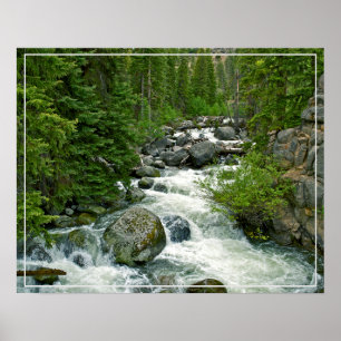 Floden poster-Forest Poster