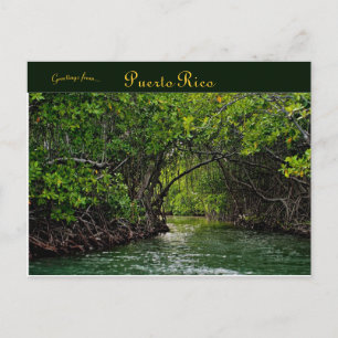 Floden Puerto Rico Vykort