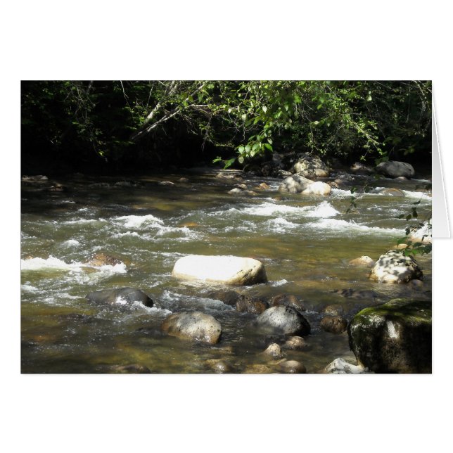 Floden Scene OBS Kort (Framsidan Horizontal)