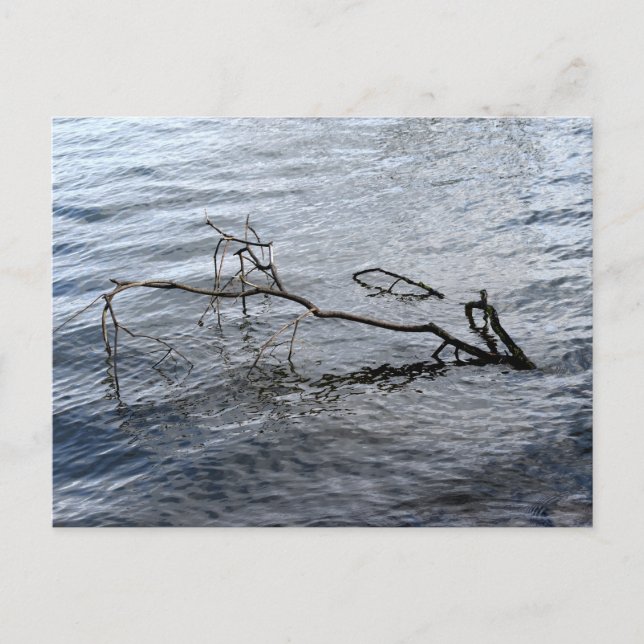 Floden, stillastående liv vykort (Framsida)