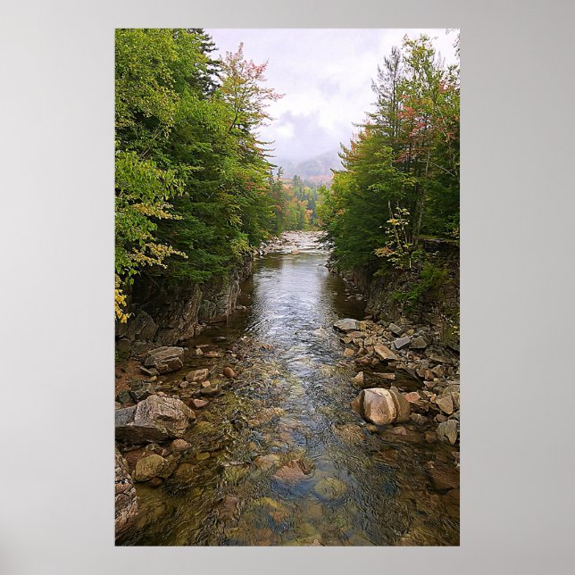Floden Stream genom skogsnatur Poster (Framsidan)