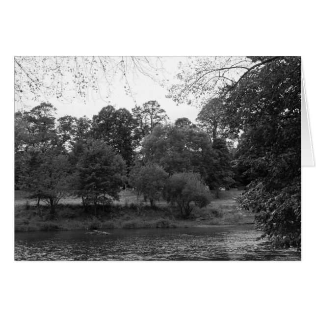 Floden Taff vid Bute Park, Cardiff - BW Hälsningskort (Framsidan Horizontal)