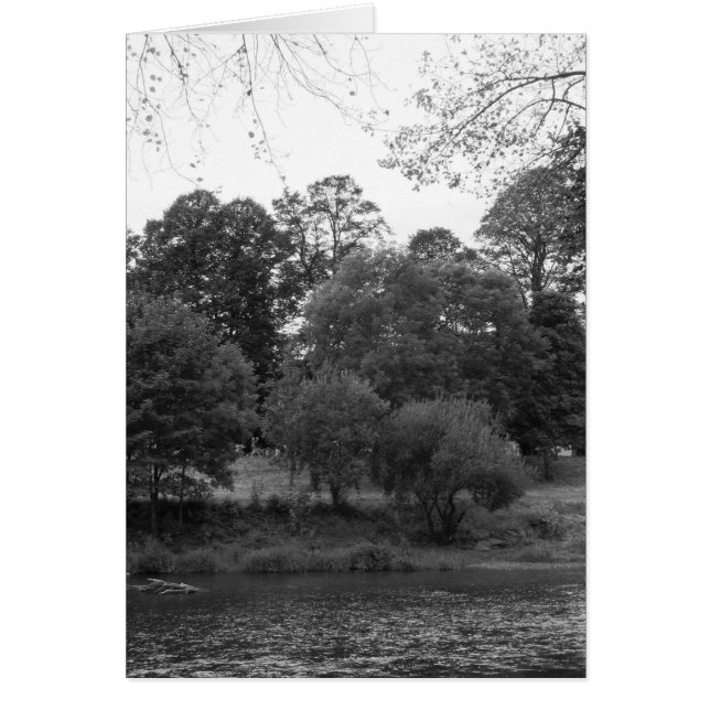 Floden Taff vid Bute Park, Cardiff - BW Hälsningskort (Framsidan)