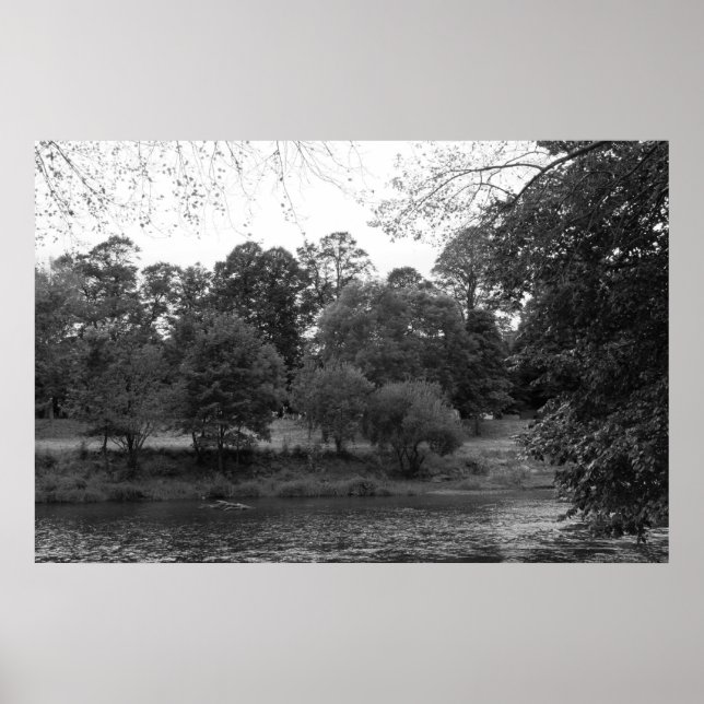 Floden Taff vid Bute Park, Cardiff - BW Poster (Framsidan)