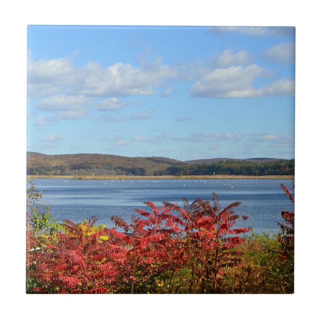 Floden Tile Kakelplatta (Framsidan)