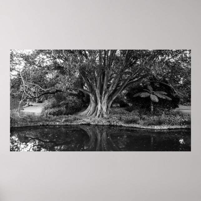 Floden träd poster (Framsidan)