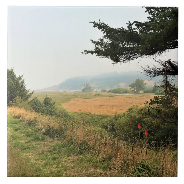 Floden Trail vid Cape Blanco, Oregon Kusten Kakelplatta (Framsidan)