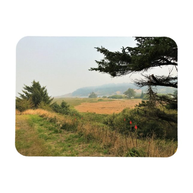 Floden Trail vid Cape Blanco, Oregon Kusten Magnet (Horisontell)