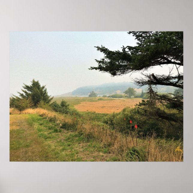 Floden Trail vid Cape Blanco, Oregon Kusten Poster (Framsidan)