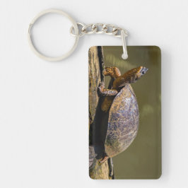 Floden Turtle vid Tortuguero - Costa Rica