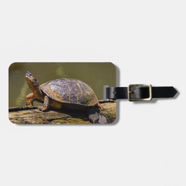 Floden Turtle vid Tortuguero - Costa Rica Bagagebricka (Horisontell Framsida)