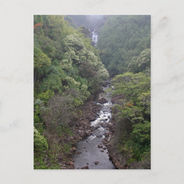 Floden Valley Near Hilo, Hawaii Vykort (Framsida)