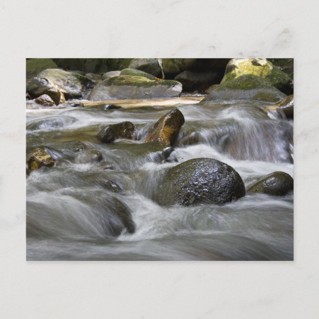 Floden Vykort (Framsida)