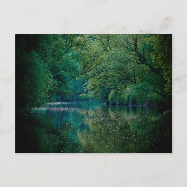 Floden ・ vykort (Framsida)