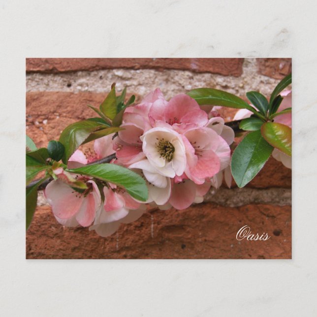 FLÖDEN VYKORT (Framsida)