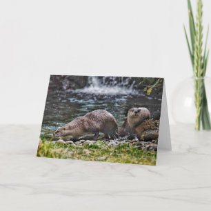 Floder Otters vid uppspelning av tomt anteckningsk Anteckningskort