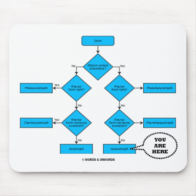 Flödesdiagram för heterotrof - du är här musmatta (Framsidan)