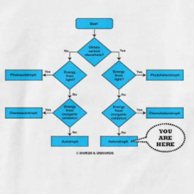 Flödesdiagram för heterotrof som du är här i biolo tröja (Heterotroph flow chart with "You Are Here" callout on this tee for any heterotroph)