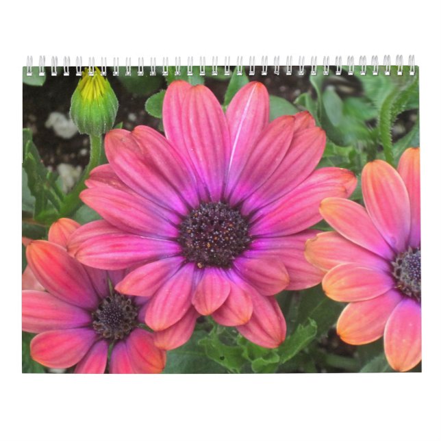 Flödeskalendern Kalender (Baksida)