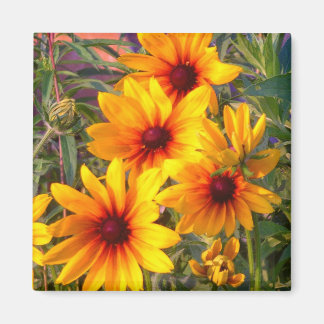 Flödesmagnet Magnet