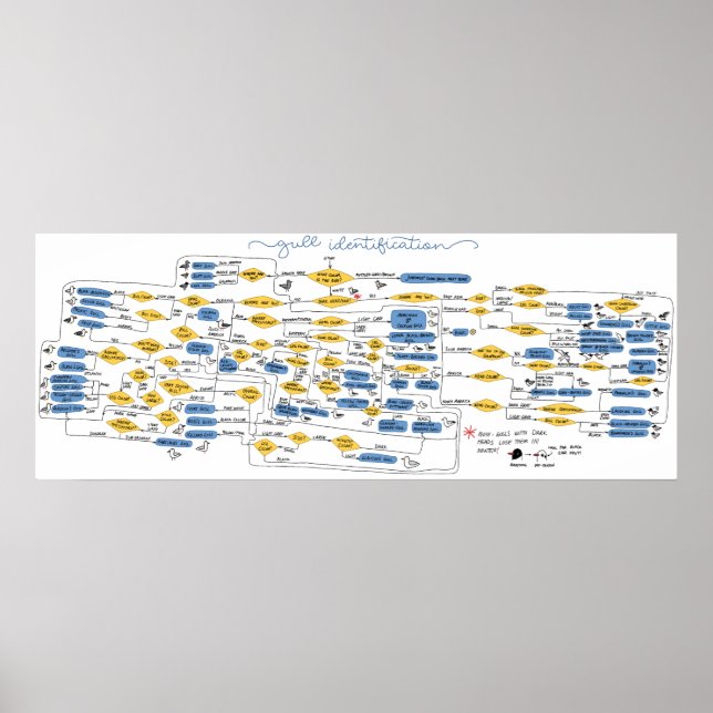 Flödesschema för identifiering av guld poster (Framsidan)