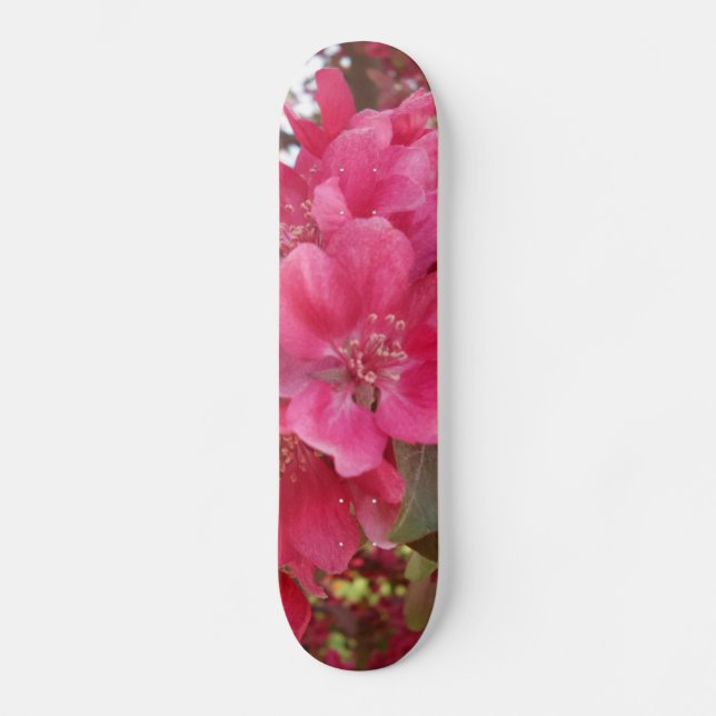 Flödesskiss för vårtid skateboard bräda 20,5 cm (Framsida)