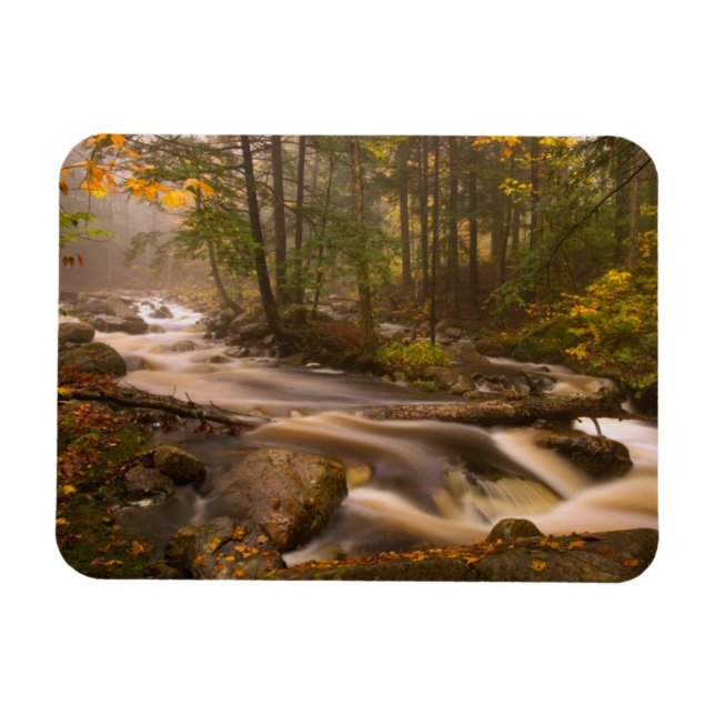 Flödesströmmar Appalachian Trail | Vermont Magnet (Horisontell)