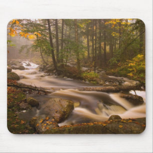 Flödesströmmar Appalachian Trail Vermont Musmatta