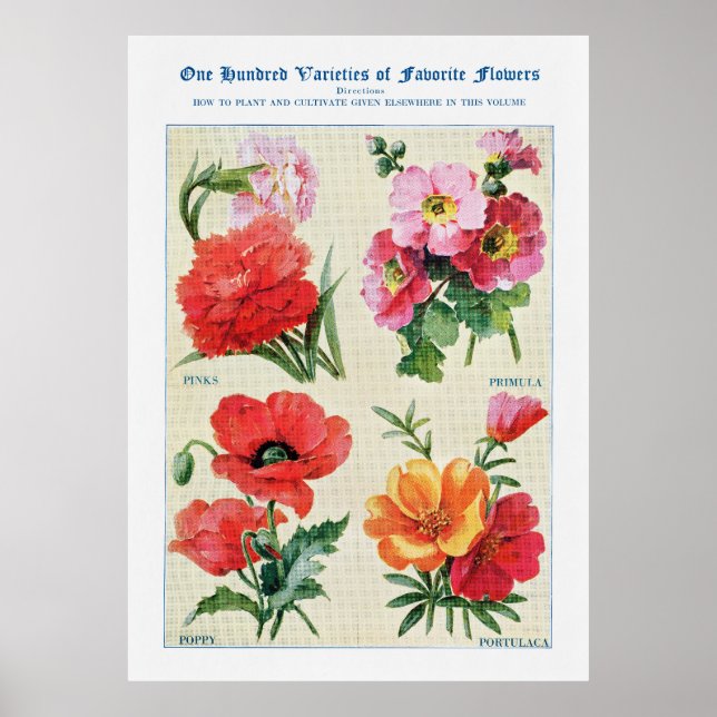 Flödesvattenfärg 3 poster (Framsidan)