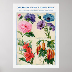 Flödesvattenfärg Poster