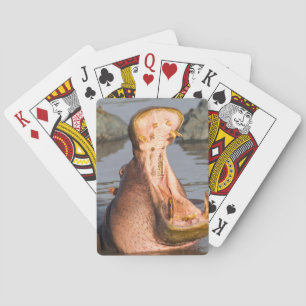 Flodhäst gäspar, Tanzania Casinokort