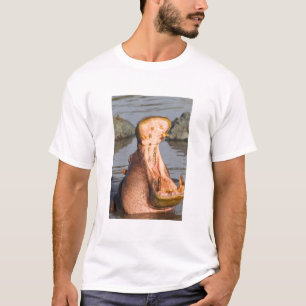Flodhäst gäspar, Tanzania Tee