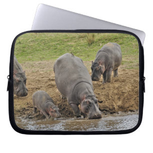 Flodhäst, Hippopotamus amphibius, Serengeti Laptop Sleeve